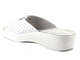 Dámské žabky Saniflex 60207